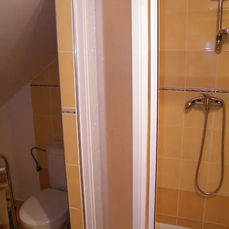 بيت ضيافة U Dolezalu 3*
