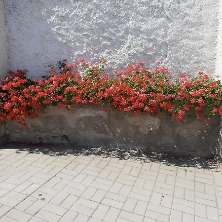 U Dolezalu